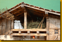 Admonter Advent